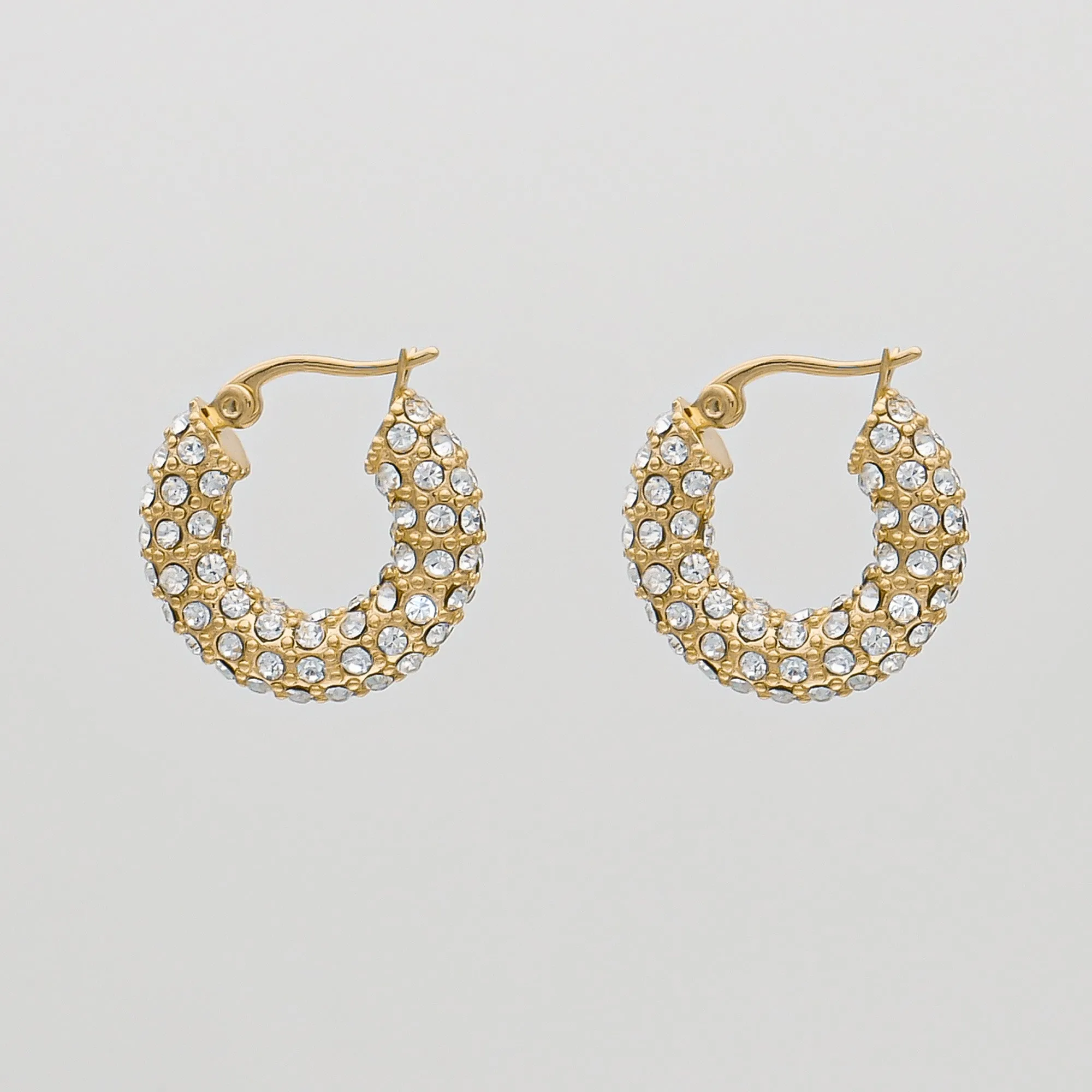 Amiya CZ Hoop Earrings