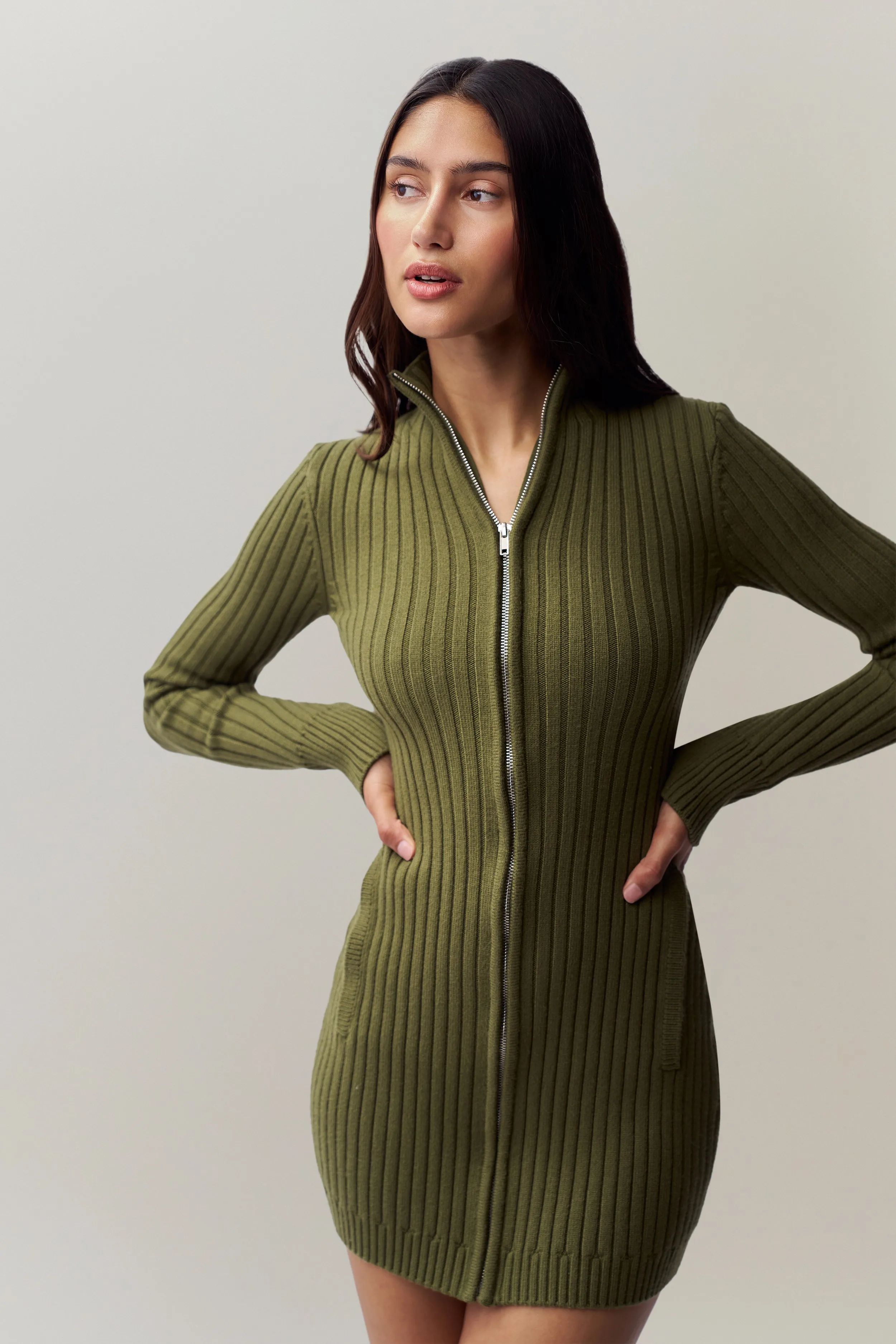 Nell Zip Up Dress