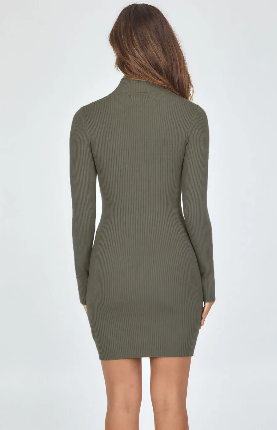 Turtleneck Ribbed Knit Dress